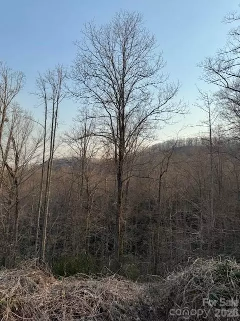 910 Morgan Hill Rd, Black Mountain, NC 28711