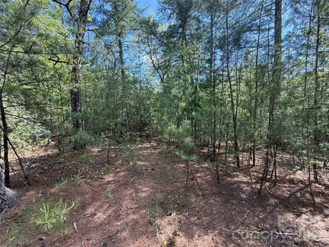 51 Staghorn Road #51 & 52A, Purlear, NC 28665 photo 6