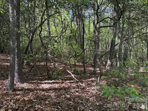 51 Staghorn Road #51 & 52A, Purlear, NC 28665 photo 12