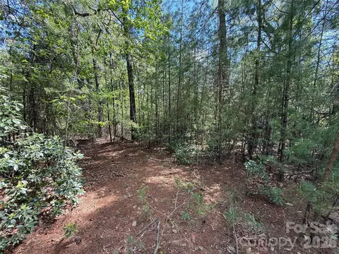 51 Staghorn Road #51 & 52A, Purlear, NC 28665 photo 9