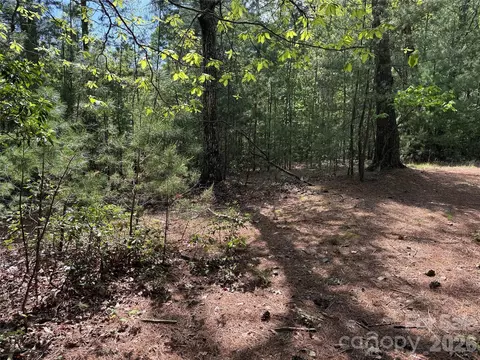 51 Staghorn Road #51 & 52A, Purlear, NC 28665 photo 5