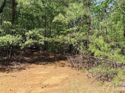 51 Staghorn Road #51 & 52A, Purlear, NC 28665 photo 8