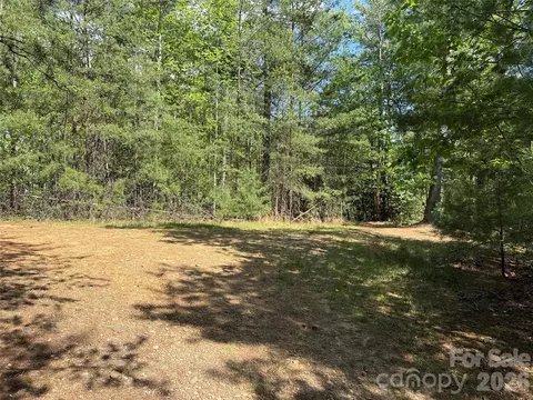 51 Staghorn Road #51 & 52A, Purlear, NC 28665 photo 20
