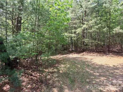 51 Staghorn Road #51 & 52A, Purlear, NC 28665 photo 21
