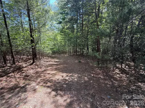 51 Staghorn Road #51 & 52A, Purlear, NC 28665 photo 22