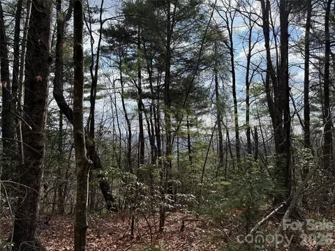 51 Staghorn Road #51 & 52A, Purlear, NC 28665