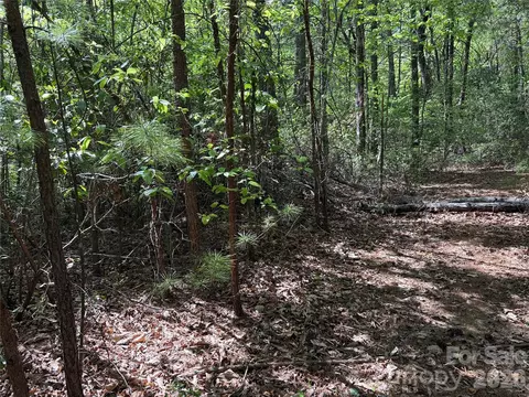 51 Staghorn Road #51 & 52A, Purlear, NC 28665 photo 18