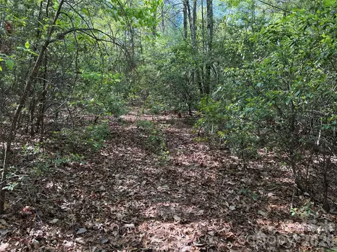 51 Staghorn Road #51 & 52A, Purlear, NC 28665 photo 14