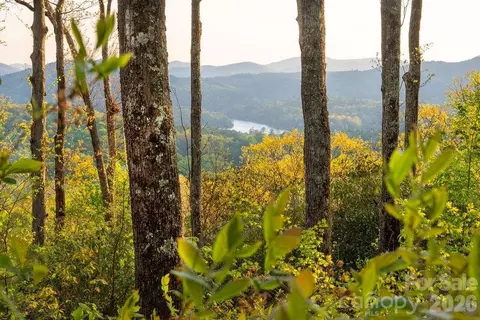 175 Skyview L-5 Rd #L-5, Lake Toxaway, NC 28747