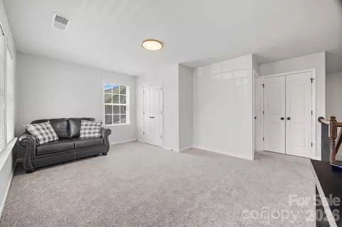 Other - 299 Annatto Way, Tega Cay, SC 29708 photo 11 of 19