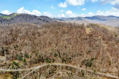Buckeye Road, Elk Park, NC 28622