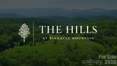 4105 Pinnacle Mountain Rd, Zirconia, NC 28790