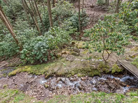 Exterior - 57 Grosbeak Trl, Sylva, NC 28779 photo 20 of 20