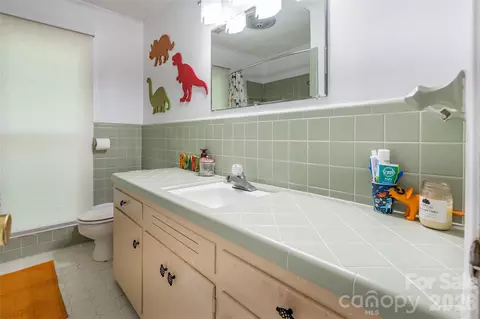 Bath - 513 Mountainbrook Rd, Lancaster, SC 29720 photo 4 of 5