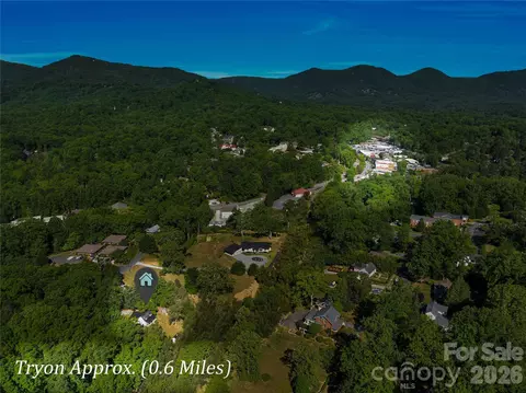 View/Area - 289 Carson St, Tryon, NC 28782 photo 1 of 3