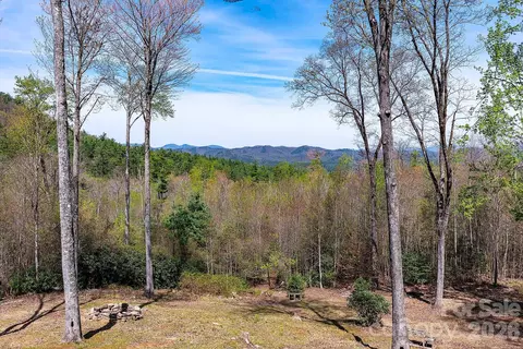 Other - 716 Peppervine Cir, Brevard, NC 28712 photo 6 of 10