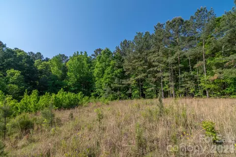 0 Potter Rd, Lancaster, SC 29720 photo 9
