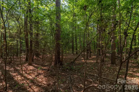 0 Potter Rd, Lancaster, SC 29720 photo 11
