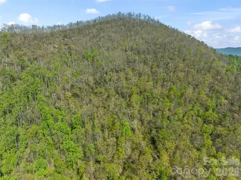 21 Reillys Bluff 1 Rd #1, Barnardsville, NC 28709