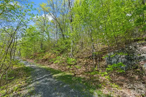 21 Reillys Bluff 1 Rd #1, Barnardsville, NC 28709