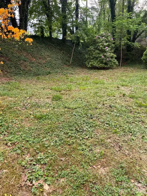 Lilac Street, Asheville, NC 28806