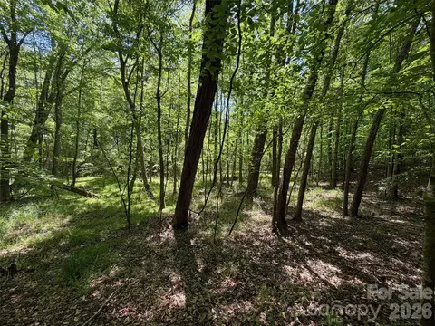 5 Ac Terry Drive Hwy, Union, SC 29379 photo 12