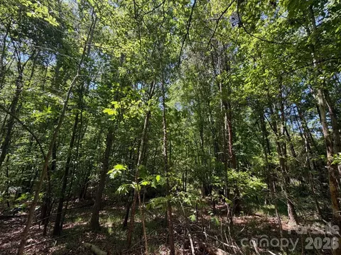 5 Ac Terry Drive Hwy, Union, SC 29379 photo 10