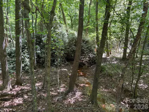 5 Ac Terry Drive Hwy, Union, SC 29379 photo 14