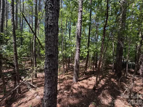 5 Ac Terry Drive Hwy, Union, SC 29379 photo 4