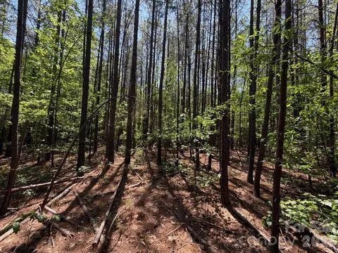 5 Ac Terry Drive Hwy, Union, SC 29379 photo 23