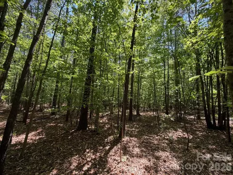 5 Ac Terry Drive Hwy, Union, SC 29379 photo 21