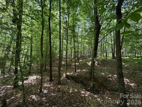 5 Ac Terry Drive Hwy, Union, SC 29379 photo 11