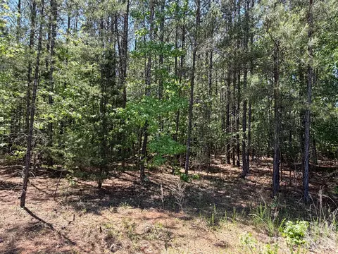 5 Ac Terry Drive Hwy, Union, SC 29379 photo 2