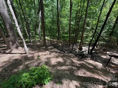 5 Ac Terry Drive Hwy, Union, SC 29379 photo 19