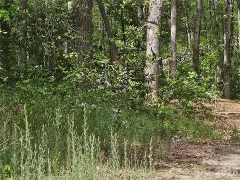 22 Graulich 6 Ln #6, Candler, NC 28715