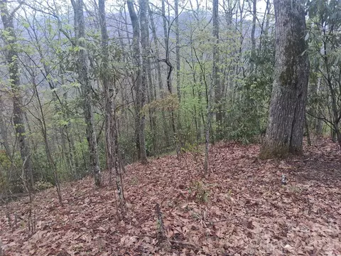 0000 Bear Creek Rd, Maggie Valley, NC 28721