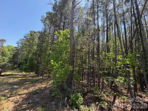 7 Ac Terry Drive Hwy, Union, SC 29379 photo 31