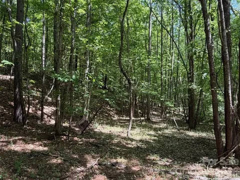 7 Ac Terry Drive Hwy, Union, SC 29379 photo 21