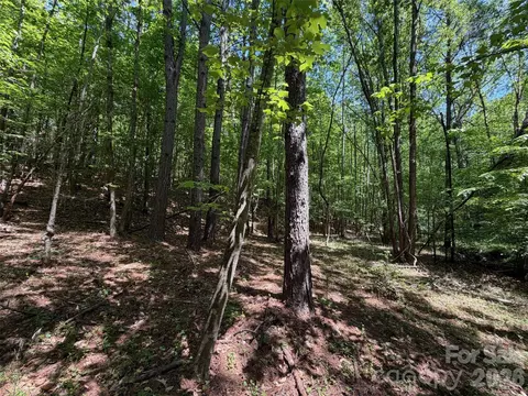 7 Ac Terry Drive Hwy, Union, SC 29379 photo 20