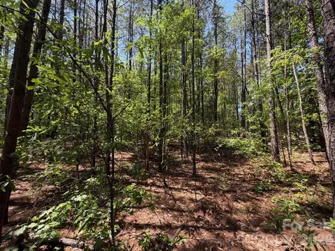 7 Ac Terry Drive Hwy, Union, SC 29379 photo 29