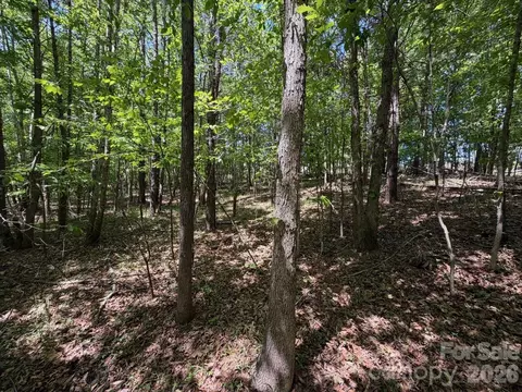 7 Ac Terry Drive Hwy, Union, SC 29379 photo 8