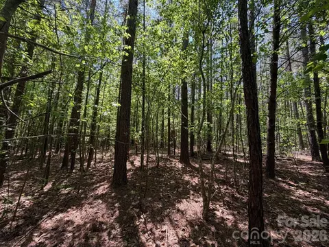 7 Ac Terry Drive Hwy, Union, SC 29379 photo 27