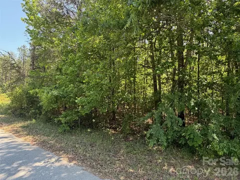 7 Ac Terry Drive Hwy, Union, SC 29379 photo 37