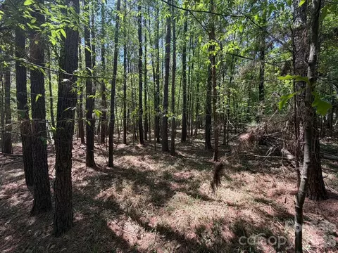 7 Ac Terry Drive Hwy, Union, SC 29379 photo 5