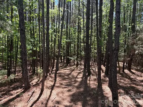 7 Ac Terry Drive Hwy, Union, SC 29379 photo 33