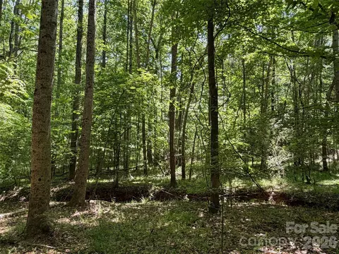 7 Ac Terry Drive Hwy, Union, SC 29379 photo 19