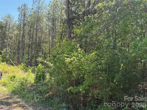 7 Ac Terry Drive Hwy, Union, SC 29379 photo 35