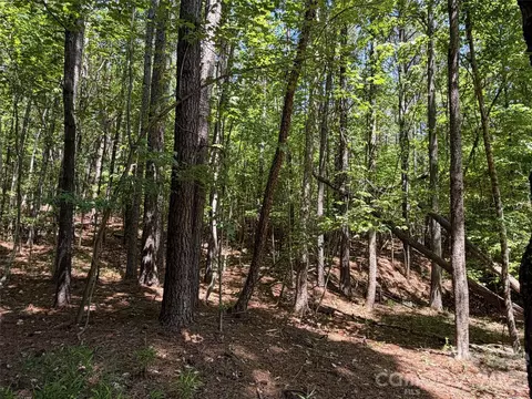 7 Ac Terry Drive Hwy, Union, SC 29379 photo 18