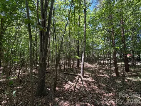 7 Ac Terry Drive Hwy, Union, SC 29379 photo 7