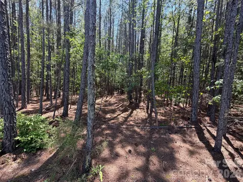 7 Ac Terry Drive Hwy, Union, SC 29379 photo 32